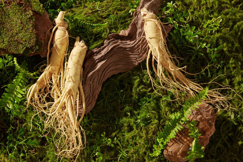 Adaptogeny: naturalne wsparcie organizmu w walce ze stresem