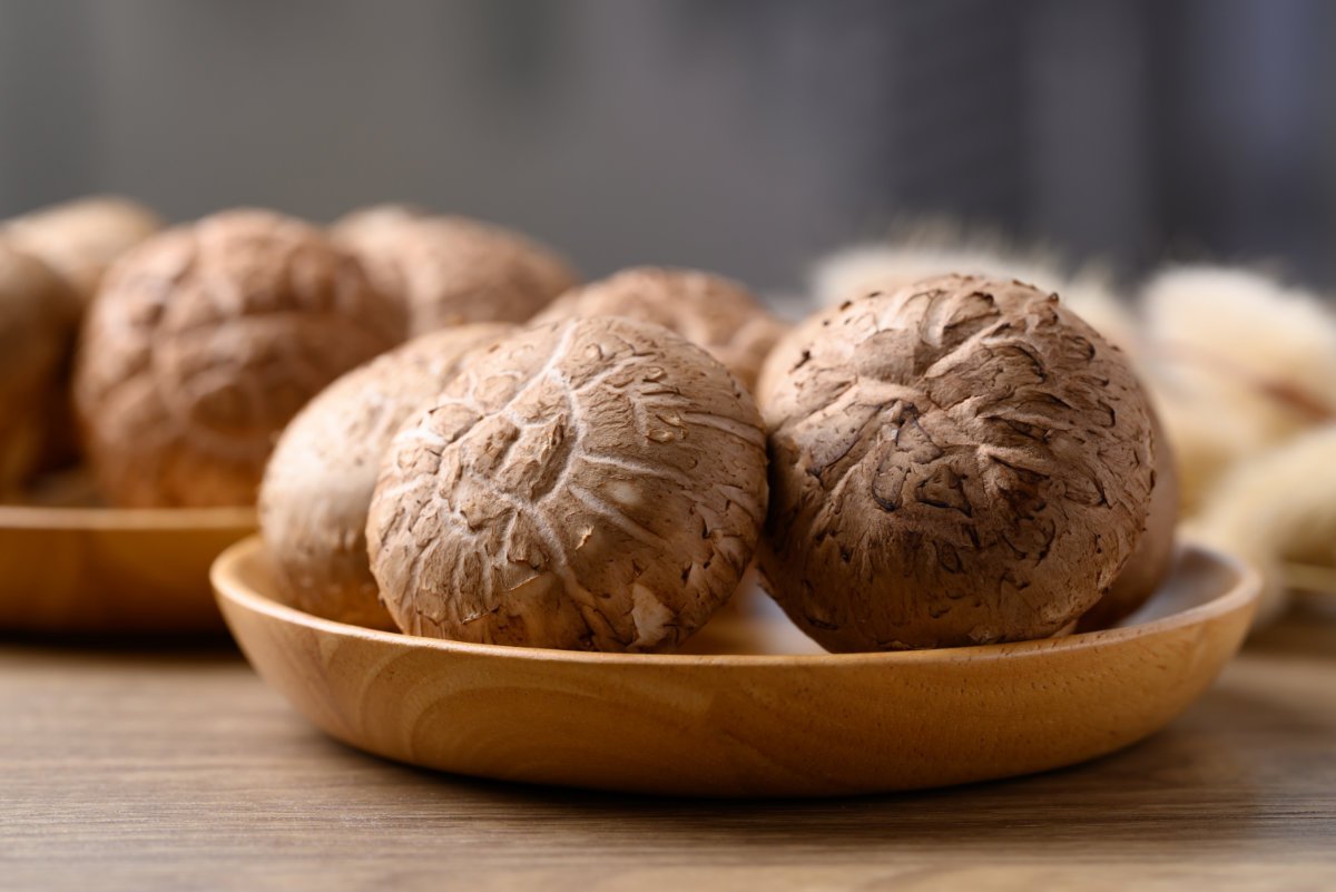 Fresh,Shiitake,Mushroom